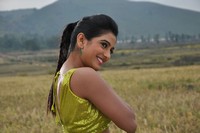 Shruthi Raj Photos